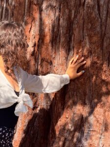 emilie-rethore-sexologue-psychopraticienne-bordeaux Sexologue et psypchoraticienne en thérapies psycho-corporelles à bordeaux et en visio